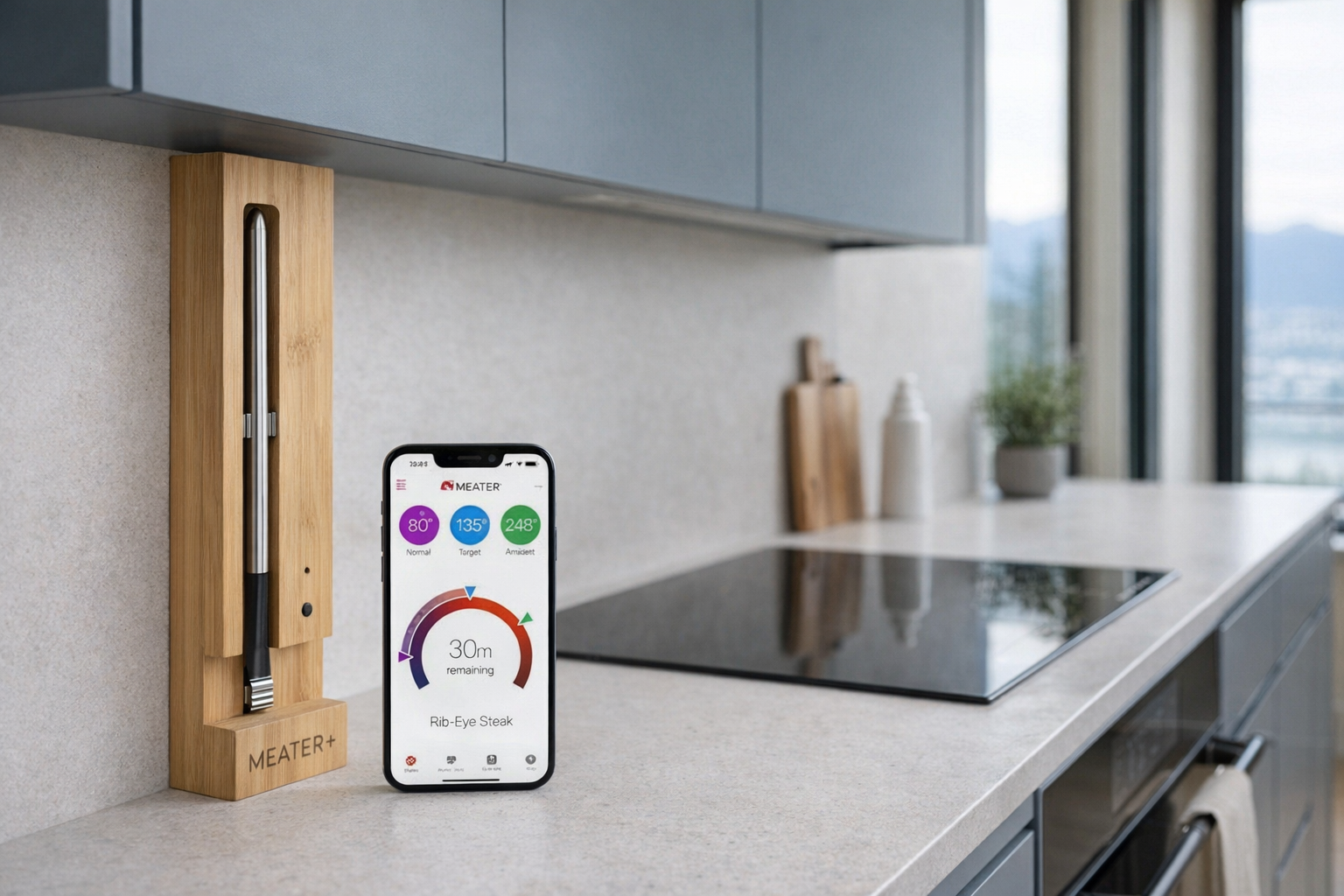 MEATER Plus: Probe Care, App Workflows, and Cook Scenarios